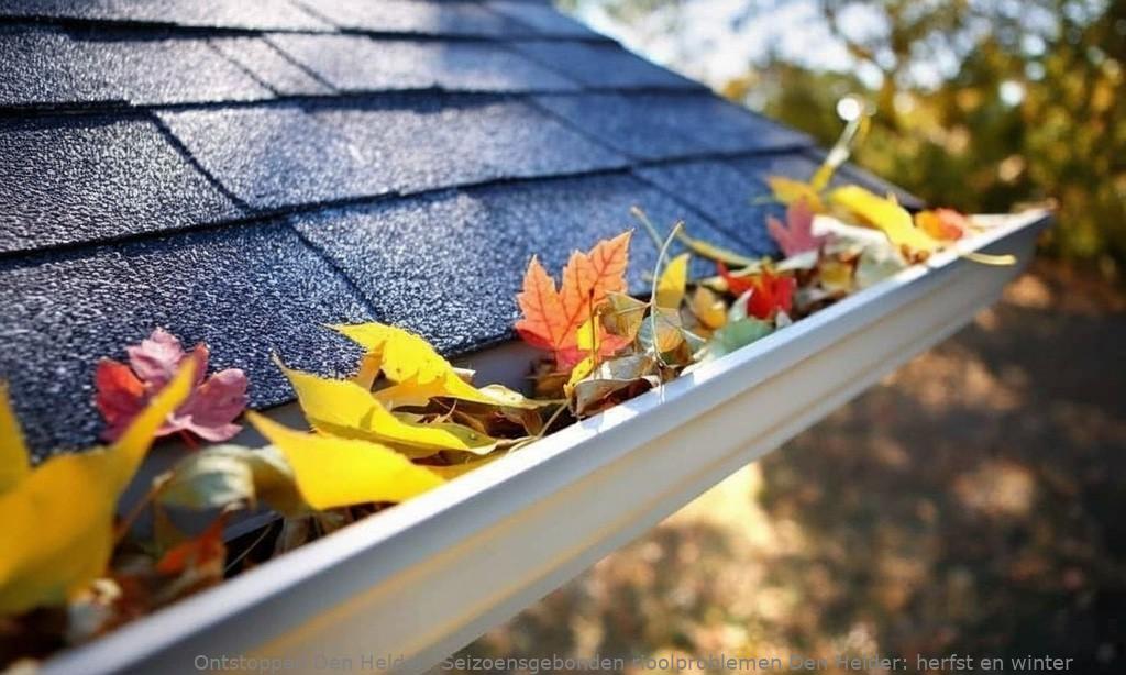 Seizoensgebonden rioolproblemen Den Helder: herfst en winter